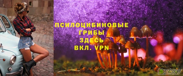 2c-b Белоозёрский