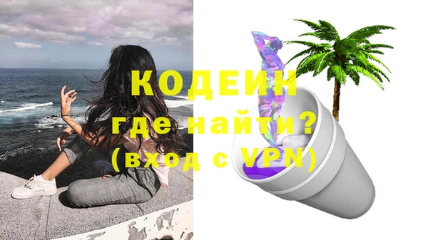 сатива Сатка