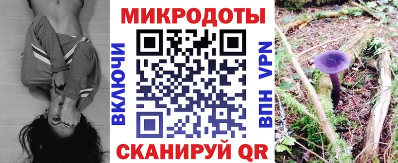 Галлюциногенные грибы мицелий магазин продажи наркотиков Олёкминск